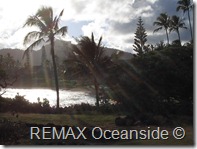 REMAX Jaco Costa Rica Real Estate landscape (3)