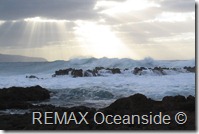 REMAX Jaco Costa Rica Real Estate landscape (5)