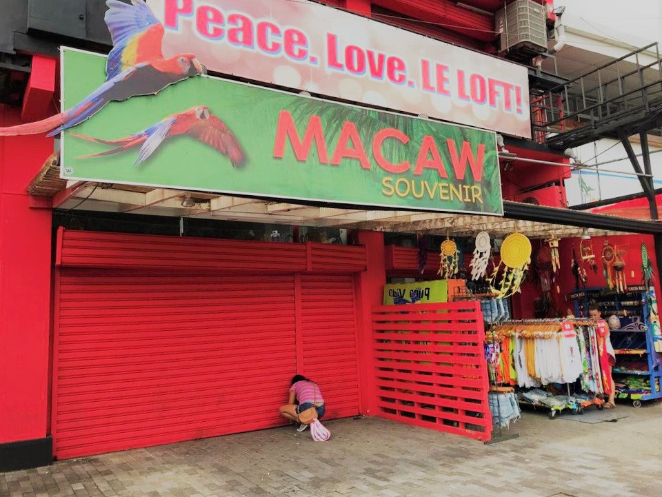 Macaw Souvenir Jaco Store